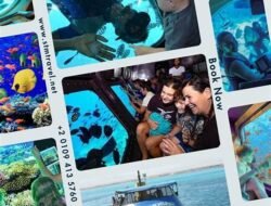 A Sea of Savings: Dive into the Depths of Opportunity with CIT Bank