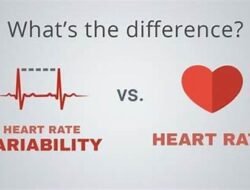 Rate Comparison Calculator: Quantifying the Difference Between CIT Bank and the Norm