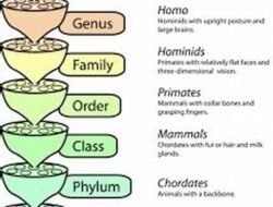 Savings that Adapt to Your Evolving Goals