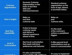 The Transformative Power of Segmentation for Support Personalization