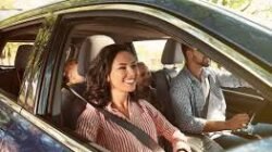 Insurance Fa Meaning