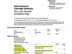 Auto Insurance Adalah