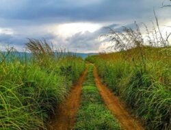 Best Tourist Places In Kerala District Wise