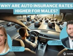 Car Insurance Quotes Comparison Texas