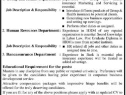 Insurance Company Jobs