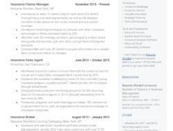 Insurance Frauds Examples