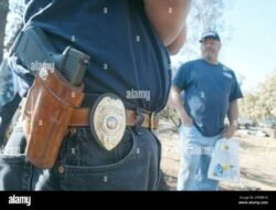 Insurance Investigator