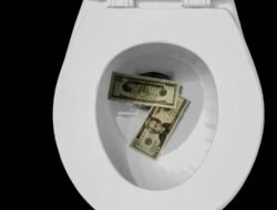 Insurance Loan Meaning