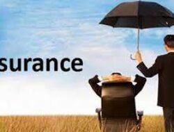 Indonesia Insurance Ranking