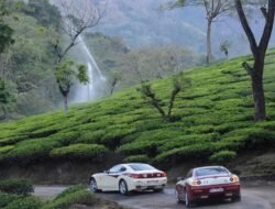 Tourist Places In South India During Summer